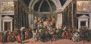 Sandro Botticelli Stories of Virginia (mk36) oil